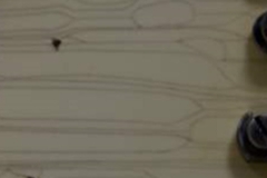 cropped-guitar4