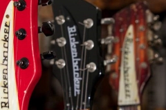 cropped-rickenbacker