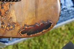 guitar6